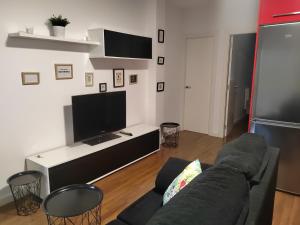 TV/Unterhaltungsangebot in der Unterkunft Apartamentos en Leis Muxia