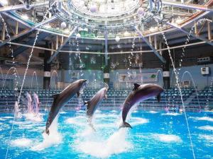 un groupe de dauphins dans l'eau de l'aarium dans l'établissement Shinagawa Prince Hotel East Tower, à Tokyo