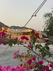 a bunch of pink flowers in front of a building at Wadi Alsidra in Hatta