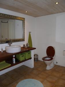 a bathroom with a toilet and a sink and a mirror at Juhl's Bed & Breakfast in Kolding