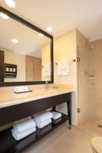 La salle de bains est pourvue d'un lavabo, d'une douche et d'un miroir. dans l'établissement La Quinta by Wyndham San Luis Potosi, à San Luis Potosí