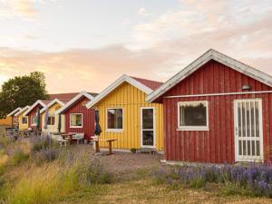 une rangée de maisons colorées dans un champ de fleurs dans l'établissement Holiday home Nexø LX, à Neksø