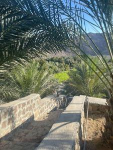 Afbeelding uit fotogalerij van Alsalam Farmhouse in Hatta +36 foto's