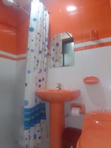 a bathroom with a sink and a shower curtain at Hostal Sin fronteras in Uyuni