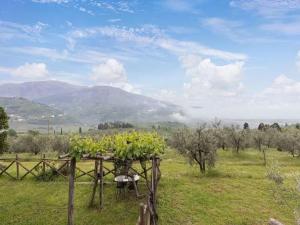 un vigneto con uve su un tavolo in un campo di Belvilla by OYO Noce a Donnini