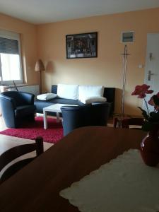 a living room with a couch and a table at Kotany Apartman in Harkány
