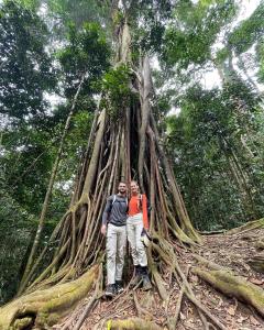 Majutusasutuse Jungle Inn Bukit lawang külastajad