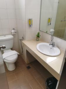 a bathroom with a toilet and a sink and a mirror at Lovita Hotel Kuantan in Kuantan