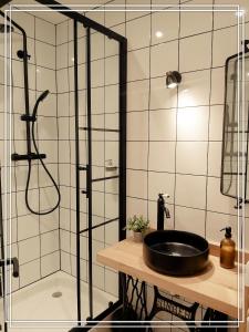 a bathroom with a sink and a shower at APPART HOTEL Place des Jolis Rêves in Riom-ès-Montagnes