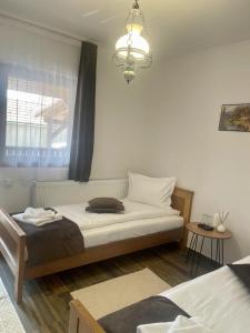um quarto com uma cama e uma janela em Bingyó Vendégház em Lupeni