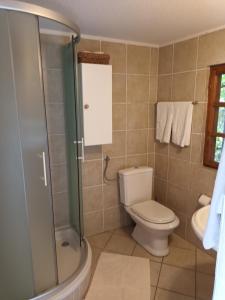 a bathroom with a toilet and a shower at Studio apartman Tomi - seaview in Vis