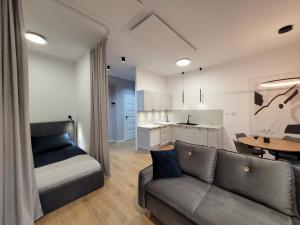 a living room with a couch and a table at Apartament Sztolnia in Kowary