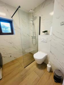 ブロダリツァにあるApartment Happyのトイレとガラスのシャワー付きのバスルーム +18枚の写真