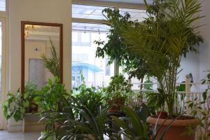 Fotografie z fotogalerie ubytování Silk Road Lodge v destinaci Biškek + 26 fotografií