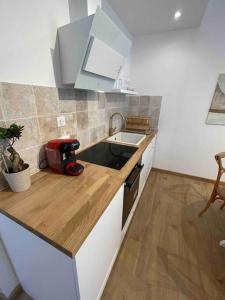 La cuisine est équipée d'un comptoir avec un grille-pain et un évier. dans l'établissement Nouvel Appartement cosy centre-ville, à Épernay