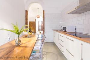 a kitchen with a counter with a plant in a vase at Apartamentos Durán Pizarro 1930 in Merida