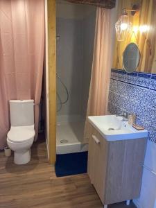 ein Bad mit einem WC, einem Waschbecken und einer Dusche in der Unterkunft Maison, Le Champ du Rossignol in Beuvron-en-Auge