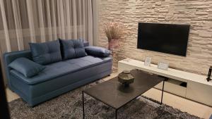 Televízia a/alebo spoločenská miestnosť v ubytovaní APARTMENT AMBER s podzemnom garažom