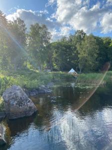 a river with a rock in the middle of it at Björkudden glamping in Fristad