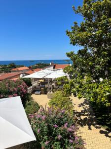 Ảnh trong thư viện ảnh của Hotel Vista ở Vrsar +32 ảnh