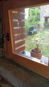 a potted plant sitting on a window sill at Chambre insolite in Saint-Mathieu