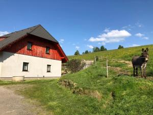 Fotografie z fotogalerie ubytování U Oslíka ve Zdíkově