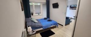 1 dormitorio con cama azul y espejo en Apartamenty Wypoczynkowa 3, en Rowy