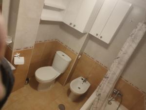 La petite salle de bains est pourvue de toilettes et d'un lavabo. dans l'établissement Apartamento terra1, à Caldas de Reis