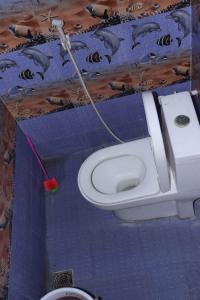 - une salle de bains avec toilettes dans une salle de jouets dans l'établissement pondy Vibes 2bhk home Stay, à Pondichéry