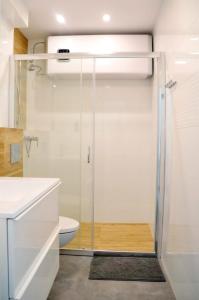 ザコパネにあるApartament 11 Zakopaneのバスルーム(シャワー、トイレ付)