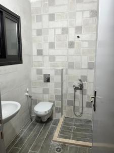a bathroom with a toilet and a sink at German-Palestinian Appartement in Al Khalīl