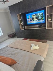 sala de estar con TV y sofá en Luxury Room, en Harold Wood