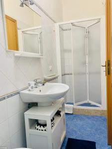La salle de bains est pourvue d'un lavabo et d'une douche. dans l'établissement le calette Marettimo, à Marettimo