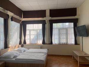 a bed in a room with windows and a television at BF Hotel in Balatonföldvár