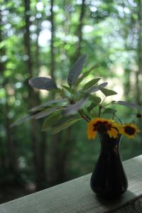 Ô Bois Dormant في Lempzours: مزهرية سوداء مع زهور صفراء على طاولة
