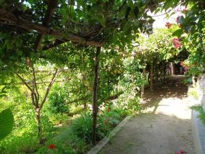 a garden with a pergola with flowers and trees at Casa Emi in Amalfi