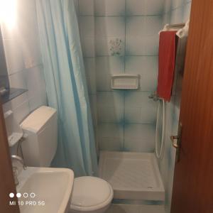 a small bathroom with a toilet and a shower at 'Αγριοι Λιμένες in Iria