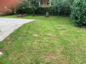Aed väljaspool majutusasutust Imola Apartman Fonyód