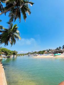 een uitzicht op een strand met palmbomen en het water bij Rustic Private Pool Villa # 8 by SAZJ Hospitality in Saligao
