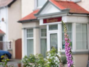 una casa con una flor púrpura delante de ella en Rosaire Guest House en Llandudno