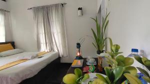 een slaapkamer met een bed en een tafel met planten bij Riverston Nature Villa in Rattota