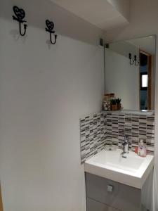 uma casa de banho com um lavatório branco e um espelho. em Gite du Piboulet em Les Granges-Gontardes