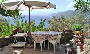 カモーリにあるVilletta sul Mareのテーブルと椅子、傘、犬