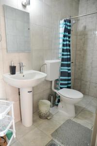 ein Badezimmer mit einem Waschbecken, einem WC und einem Spiegel in der Unterkunft Villa Silva in Ohrid