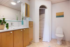 ein Bad mit einem Waschbecken und einem WC. in der Unterkunft Stone Mountain BnB in Stenbjerg