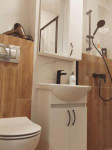 La salle de bains est pourvue d'un lavabo blanc et de toilettes. dans l'établissement Apartament City Center 3 bedroom, à Varsovie