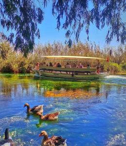 Leute auf einem Boot auf einem Fluss mit Enten in der Unterkunft Ege Homes in Ula