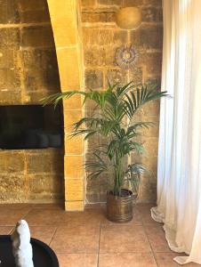 Fotografie z fotogalerie ubytování Ta Cetta Farmhouse v destinaci Qala