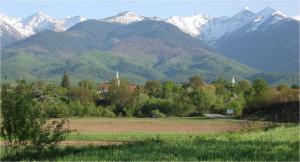 uma vista para uma serra com um campo e árvores em Lele Maria's Cottage em Arpaşu de Sus