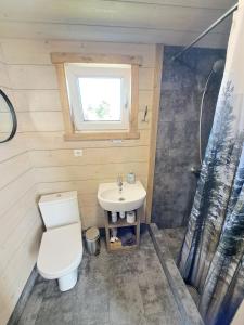 a small bathroom with a toilet and a sink at Ventspils Podnieki in Ventspils +76 photos